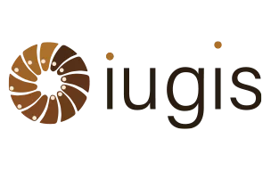 Logo iugis construction color