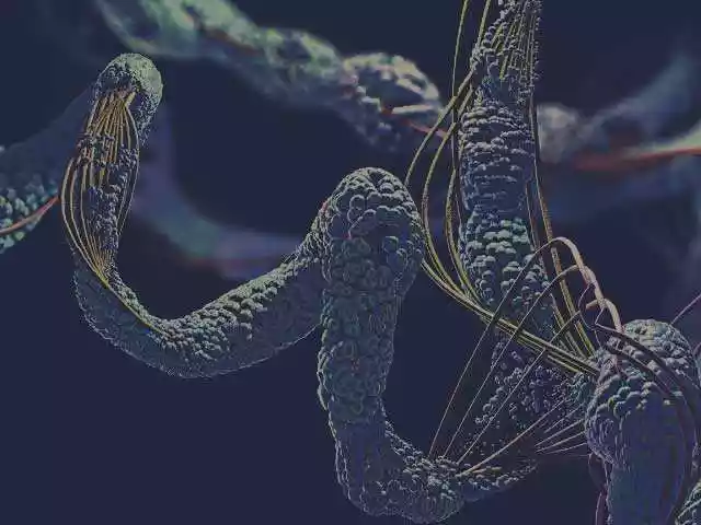 Tn rpeptide