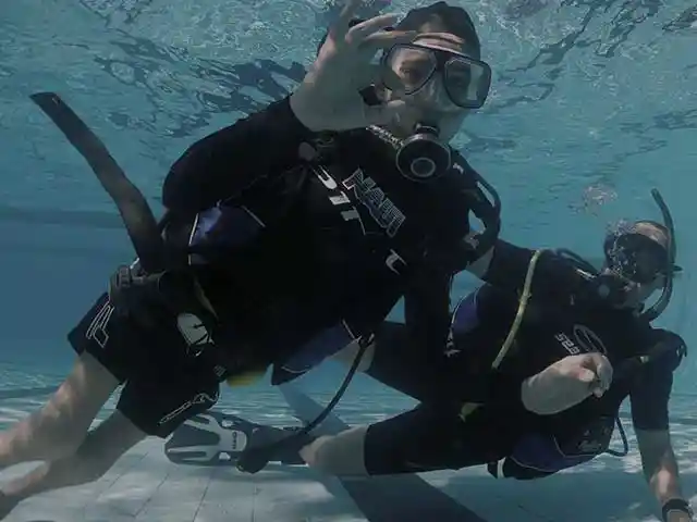 Tn Naui