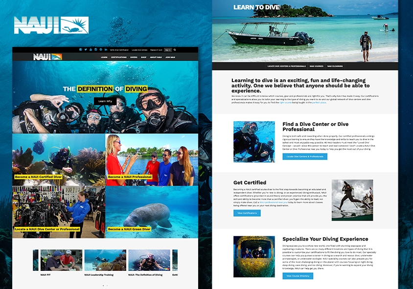 <p>NAUI.org website design and development project screenshots</p>