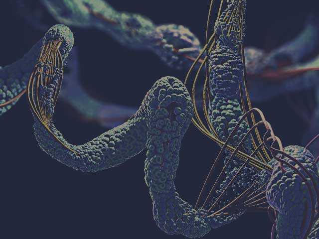 Tn rpeptide